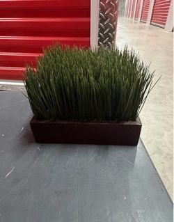 Artificial Plant