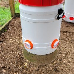 Chicken Feed And Waterers 