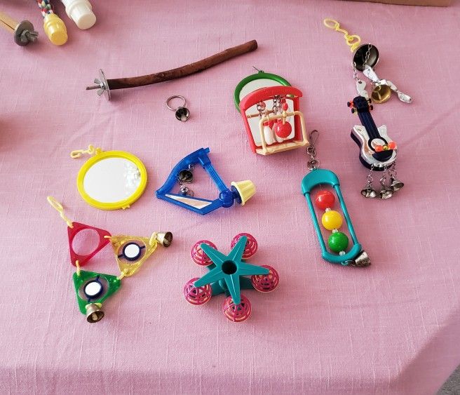 Bird Toys, Perches, and Food/Water Cups
