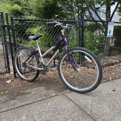 Women’s Mountain Bike