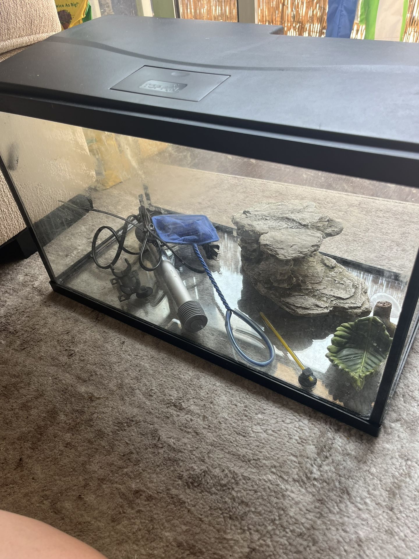Fish Tank And Accessories