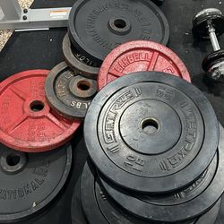 Olympic Weight Plates (2”) – $0.75/lb – Pickup 