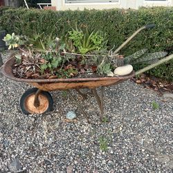 Rustic Wheel Barrow With Succulents