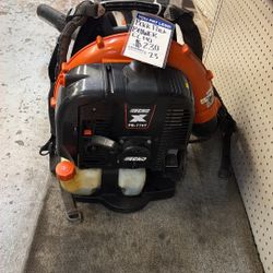Echo Backpack Blower 