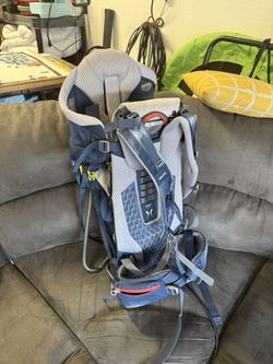 Hiking Toddler Carrier