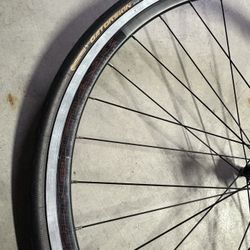 Fixed Gear Wheels 