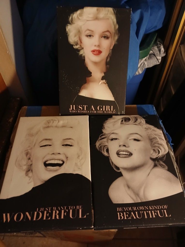 Marilyn monroe / Spiderman Frames