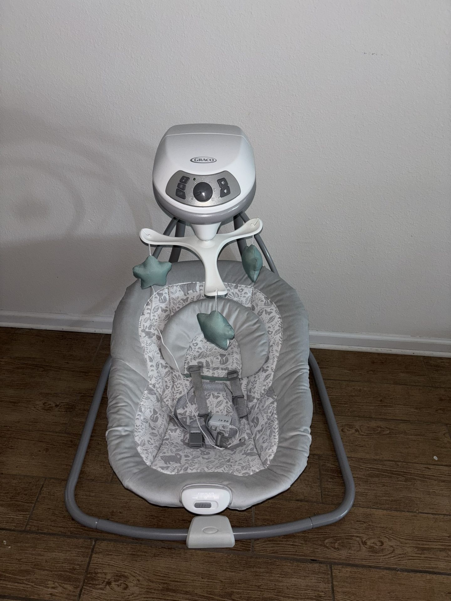 Graco Baby Swing