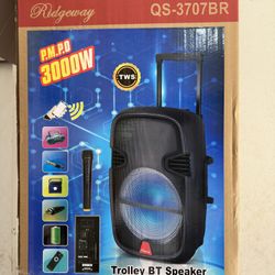 Bluetooth Speaker System