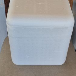 Foam Cooler With Creative Ice Packs