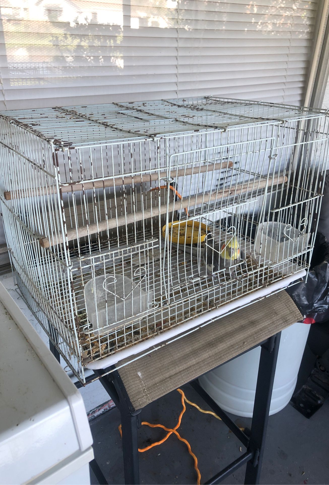 Small cage for sale
