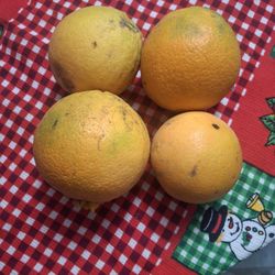 SE VENDEN NARANJAS SIN SEMILLA LIMONES Y LIMAS DULCES.