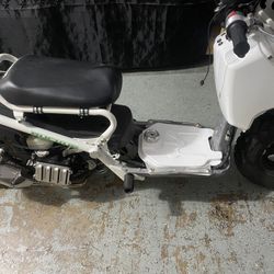 2019 Honda Ruckus