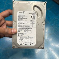 Segate 80 GB HardDisk