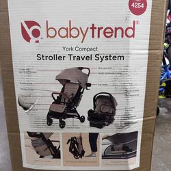 Stroller and carseat Travel system