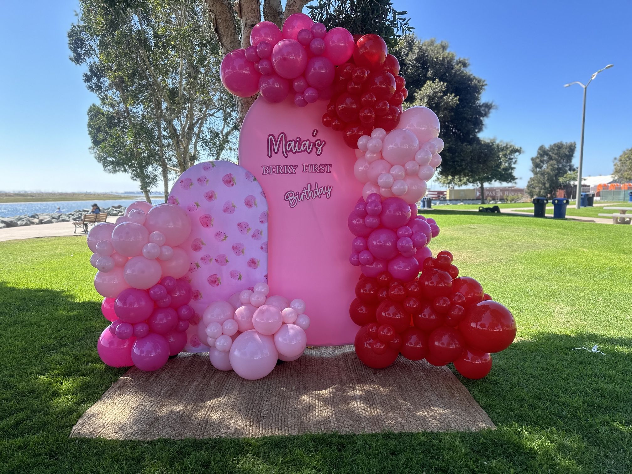 Balloon Garland