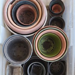 Nursery Plant Pots (Can Deliver)