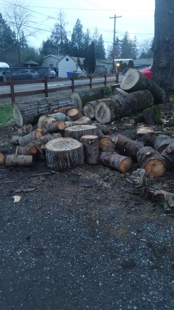 Firewood
