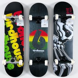 Birdhouse Complete Skateboards
