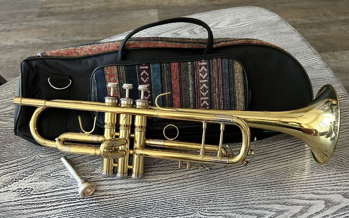Trumpet with cool carry case in excellent condition, complete with mouthpiece. $85
