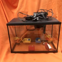 5 Gallon Aquarium 
