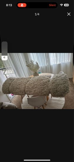 Rug beige color
