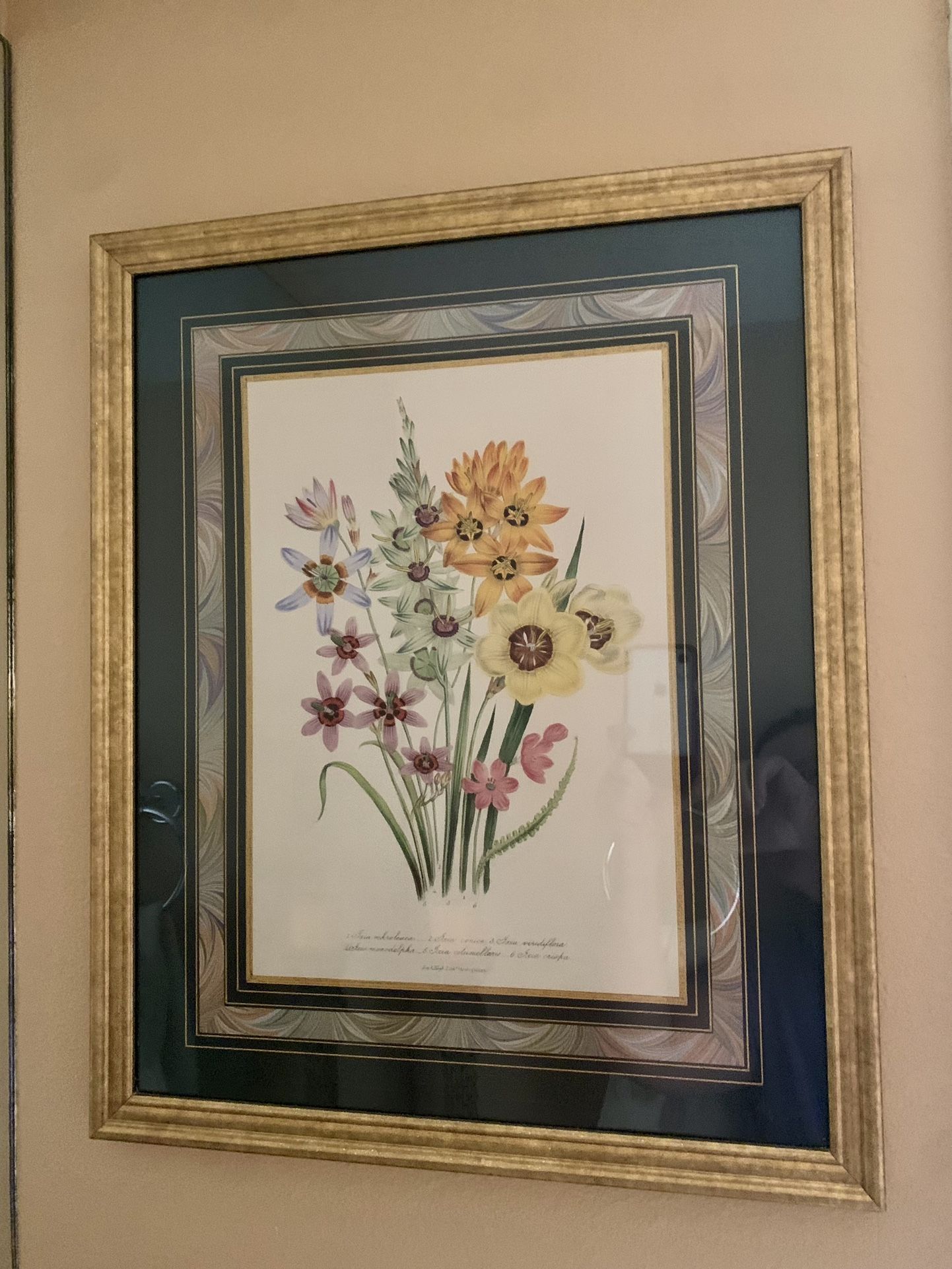Home And Garden And Decor
