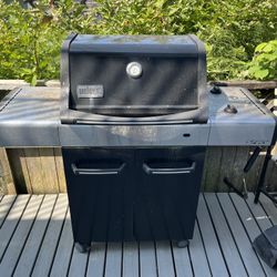Free Weber Spirit BBQ