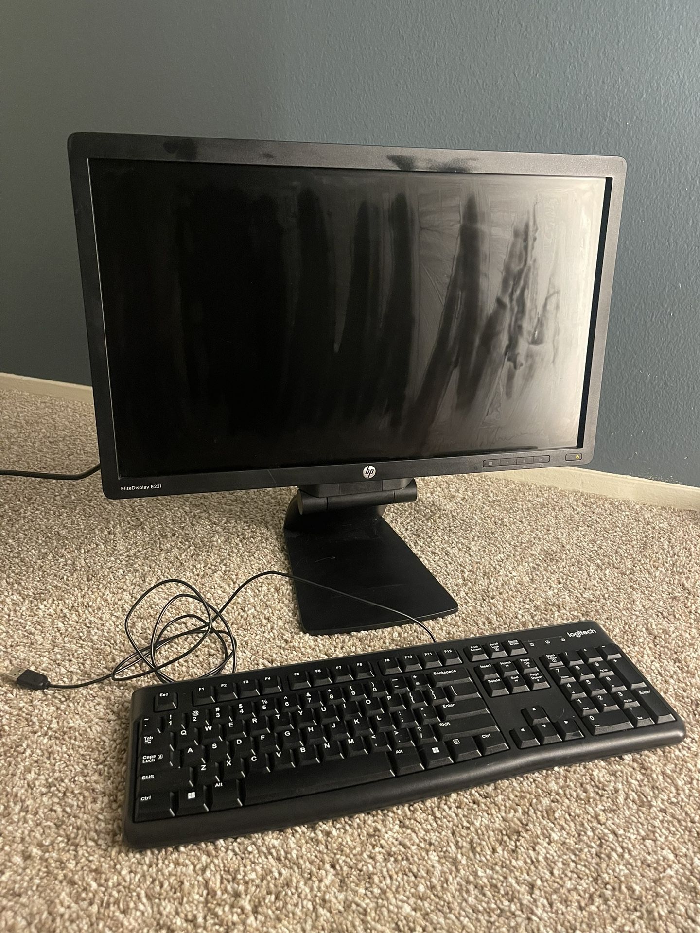 E221 EliteDisplay HP Monitor And Logitech Keyboard 