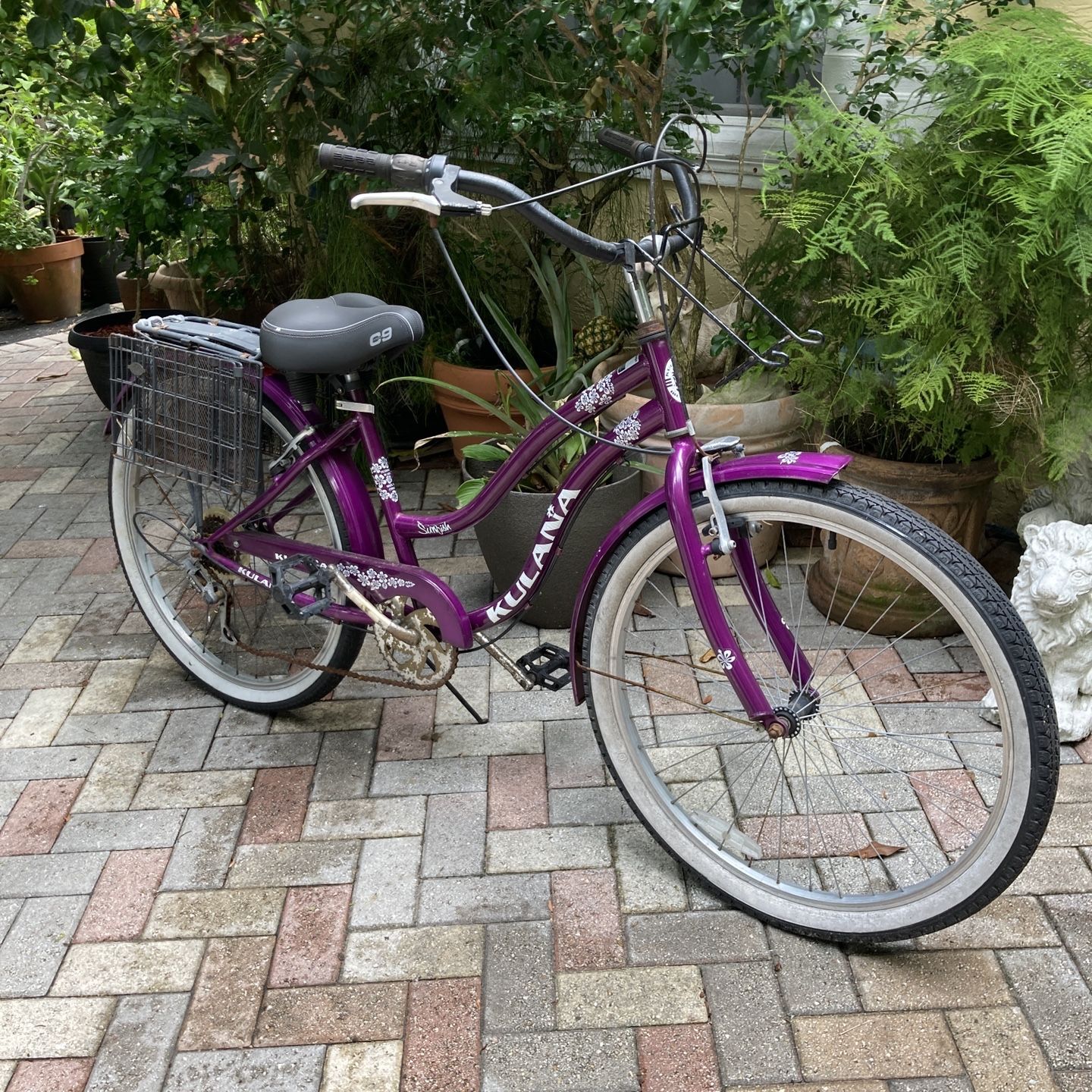 Kulana sunfish beach cruiser new arrivals