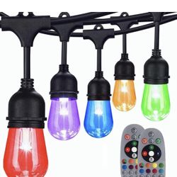 96 Ft Commercial Grade RGB String lights 
