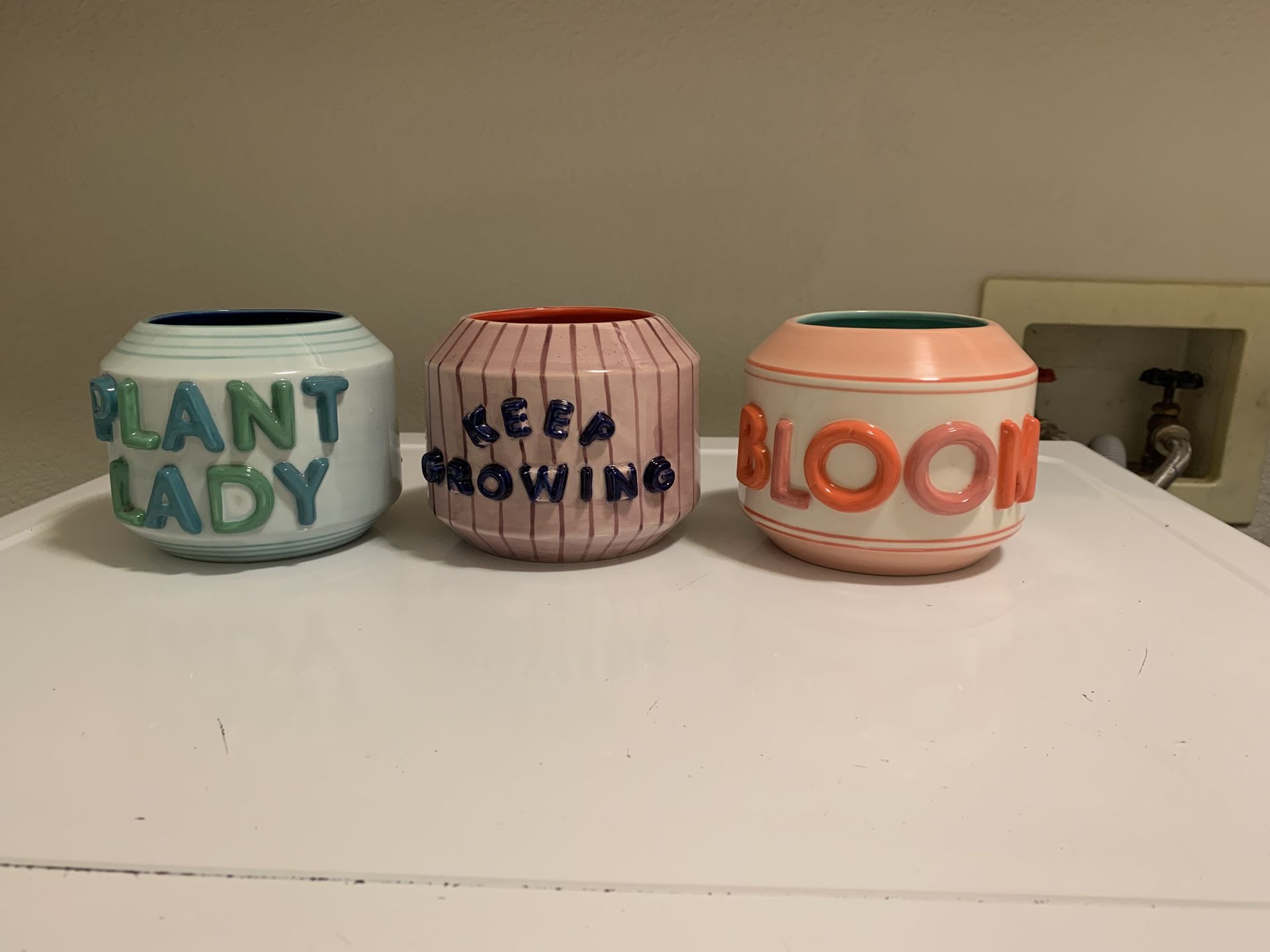 Anthropologie Plant Pots