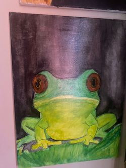 Tree frog