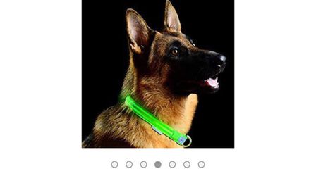 3-in 1 dog leash with LED (battery operated)(brand new never been used