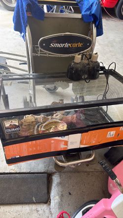 Bearded dragon tank