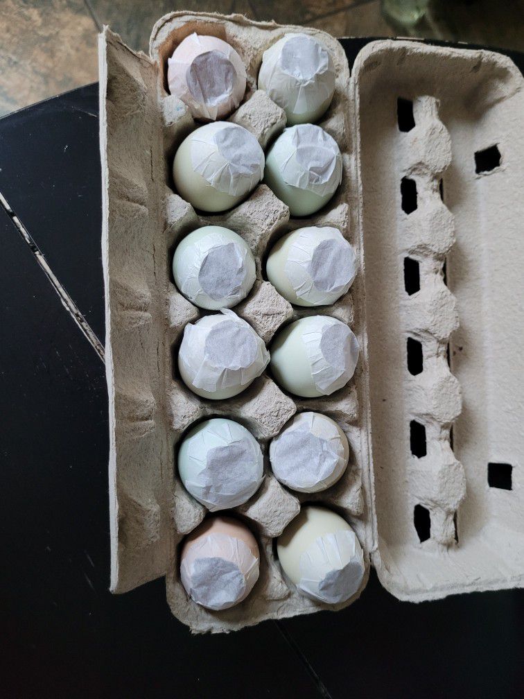 Easter Confetti Eggs ($4 Per Dozen)