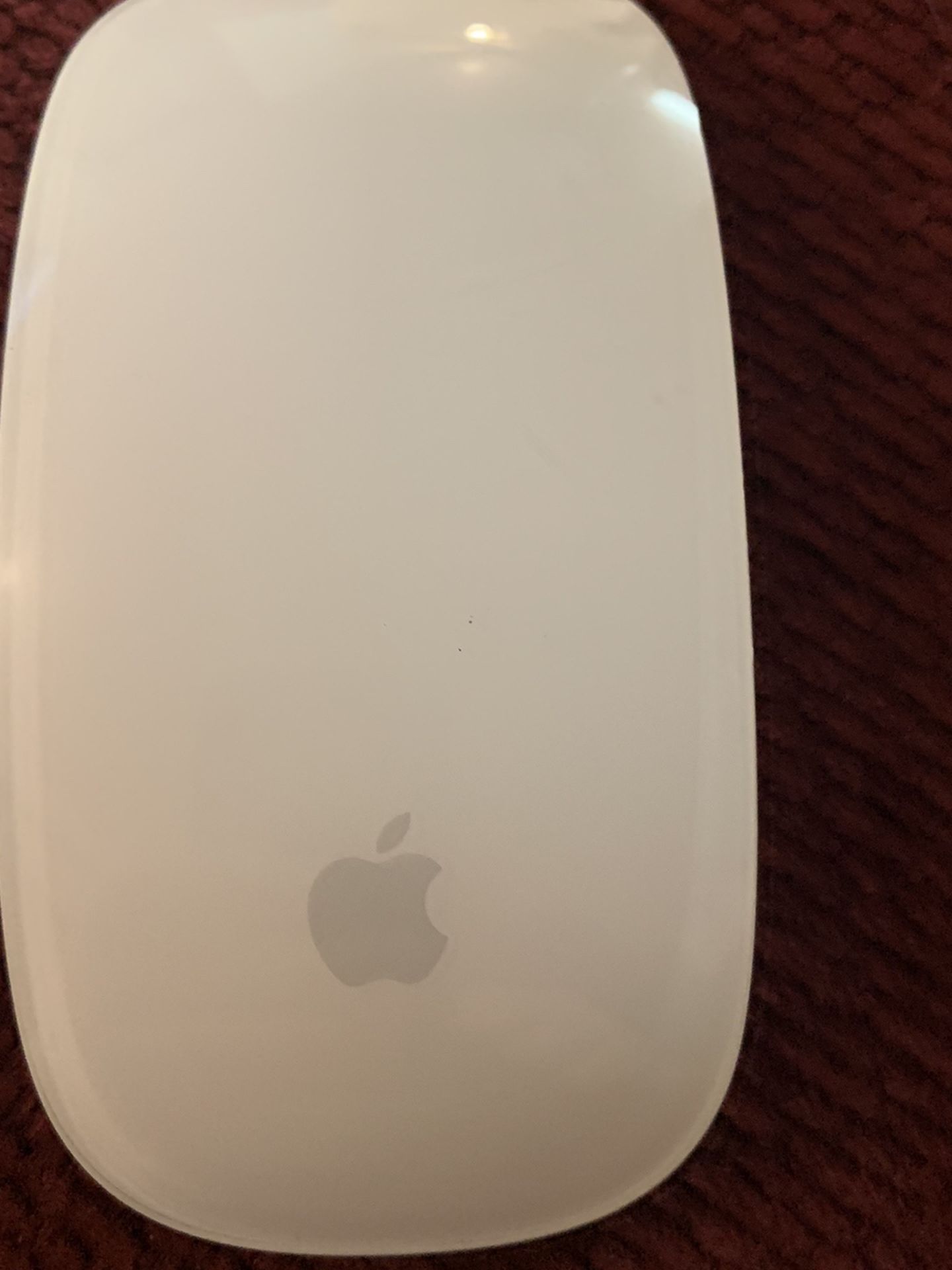 Magic Mouse 1