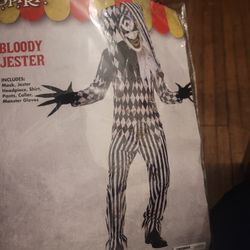 Halloween Costume (Medium)