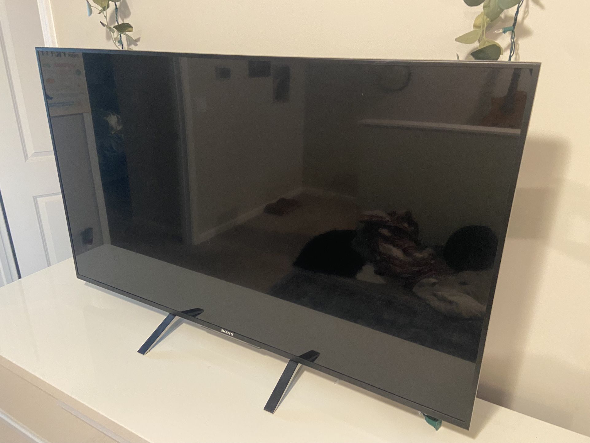 55” Sony TV