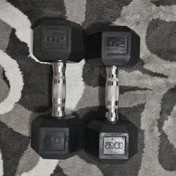 Used 20lb Weights