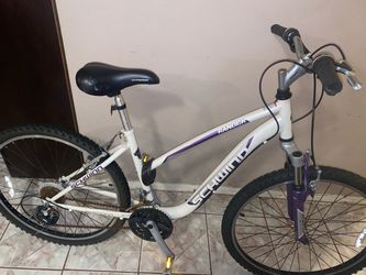 Schwinn Bicycle