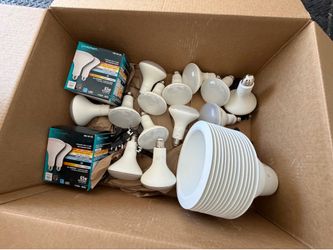 Can Light Cover with light bulbs included 14 in total