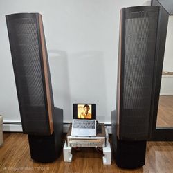 Martin Logan Ascent i Electrostatic Floor Standing Powered Speakers Tower Pair