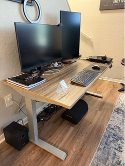 Friant electric stand up desk