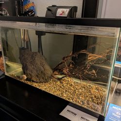 Fish Tank