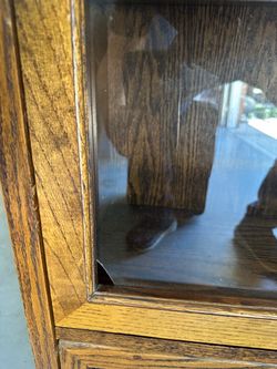 Lawyers bookcase