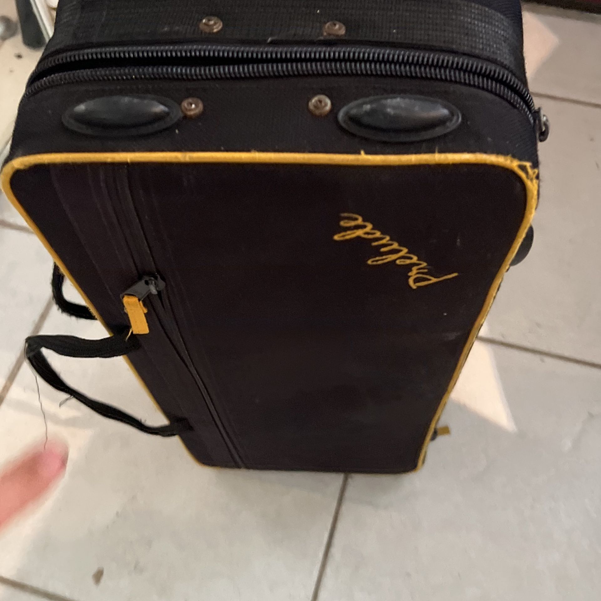 Prelude Saxophone (Alto) Carrying Case (like new)