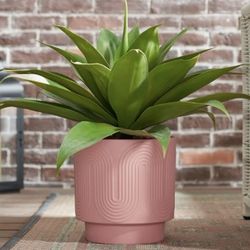 Large Plant Pot 10 Inch