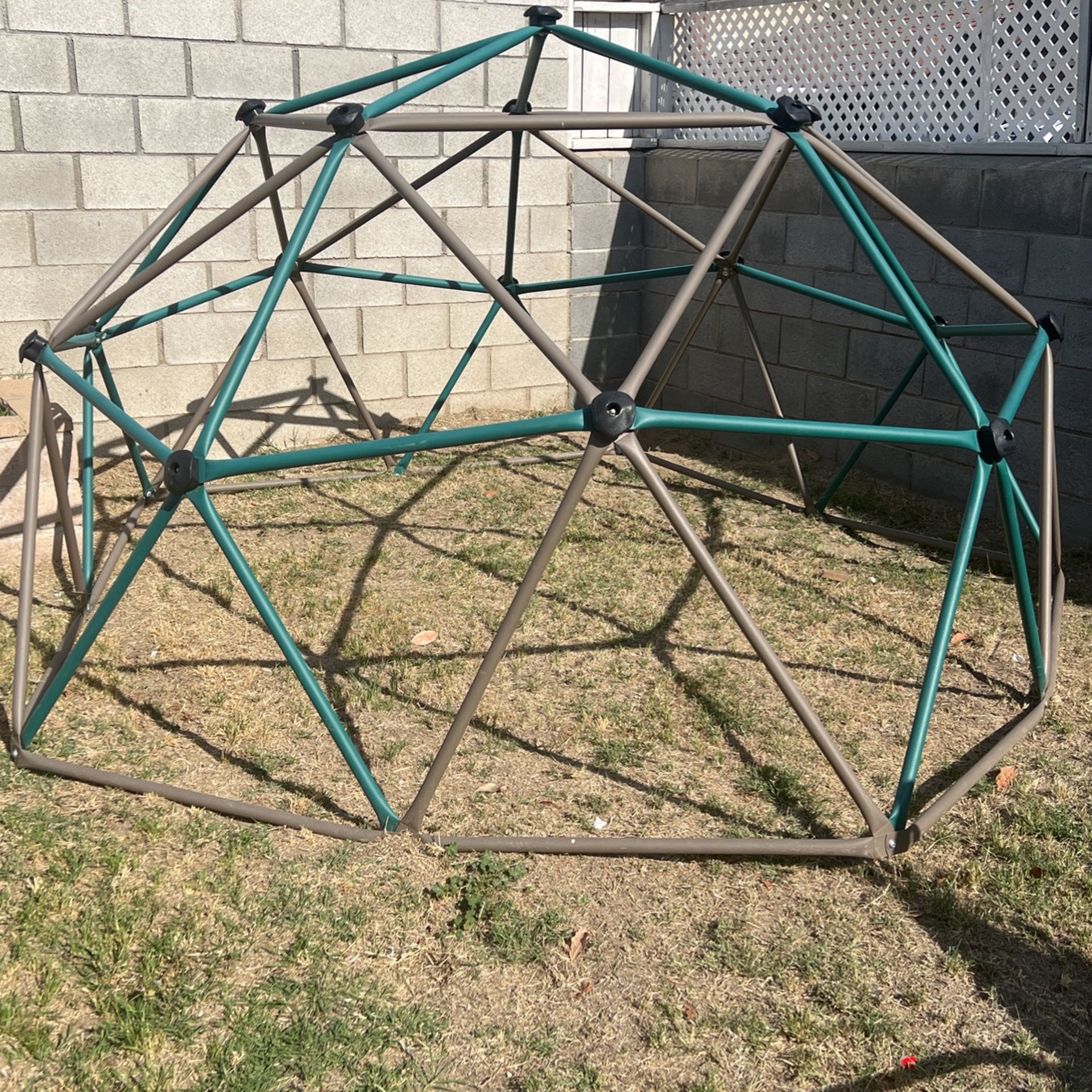 Jungle Gym