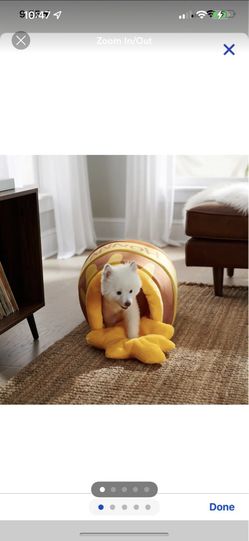 Disney Winnie the Pooh Honey Pot Covered Cat & Dog Bed